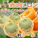 産地厳選 赤肉メロン 約3~5玉 品種サイズおまかせ ※クール便発送