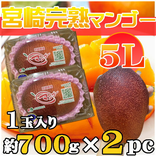 宮崎県産 宮崎完熟マンゴー 5L 1玉約700g×2パック クール便発送