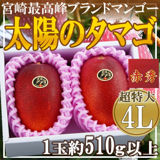宮崎県産 太陽のタマゴ 4L 1玉約510g以上 2玉 化粧箱入り 赤秀 クール便 宮崎県産 太陽のタマゴ 4L 1玉約510g以上 2玉 化粧箱入り 赤秀 クール便