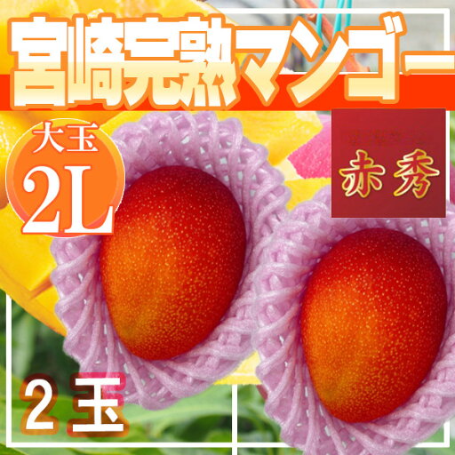 宮崎県産 宮崎完熟マンゴー 2玉 2L 赤秀 クール便発送 宮崎県産 宮崎完熟マンゴー 2玉 2L 赤秀 クール便発送