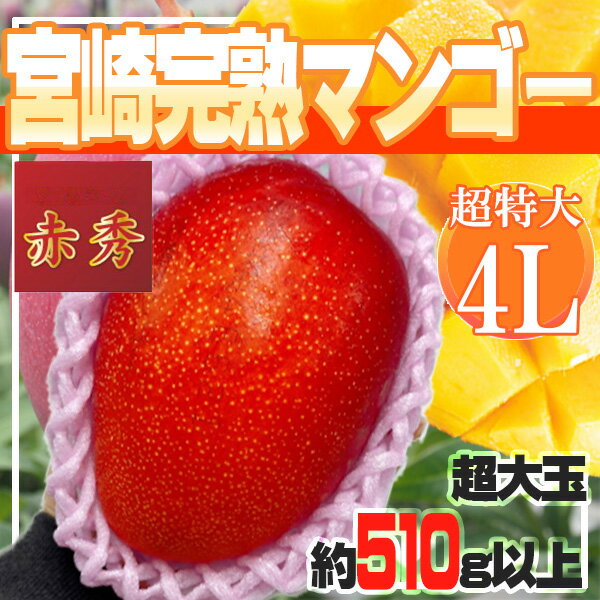 宮崎県産 宮崎完熟マンゴー 4L 1玉 超特大 約510g以上 赤秀 クール便発送