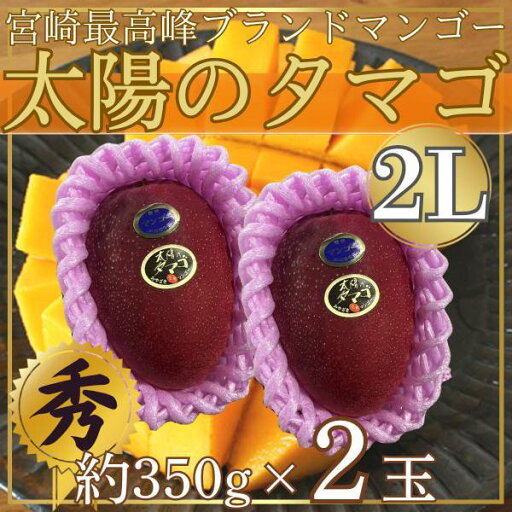 宮崎県産 太陽のタマゴ1玉 2L 約350g×2玉 ※クール便発送 宮崎県産 太陽のタマゴ1玉 2L 約350g×2玉 ※クール便発送