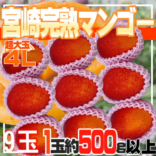 宮崎県産 宮崎完熟マンゴー 9玉 4L クール便発送 宮崎県産 宮崎完熟マンゴー 9玉 4L クール便発送