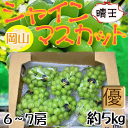 【送料無料】岡山県産 晴王 6~7房 約5キロ 優品 ※クール便発送