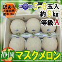 静岡県産マスクメロン 5~6玉 約9キロ ご家庭用(訳あり) ※クール便発送