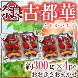 奈良県産　古都華　約300g×4パック　おおきさおまかせ