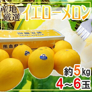 【送料無料】産地厳選　イエローメロン　4〜6玉　約5キロ　品種おまかせ