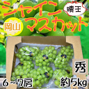 【送料無料】岡山県産 晴王 6~7房 約5キロ 秀品 ※クール便発送