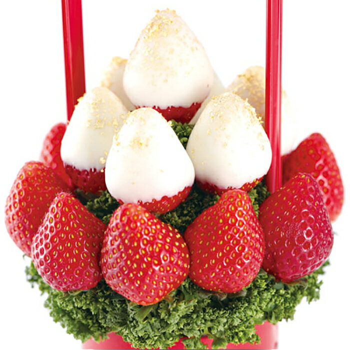 Petit BERRY BERRY(プチベリーベリー白) フルーツギフト いちご 苺 チョコレート ホワイトデー お祝い サプライズ プレゼント 誕生日 結婚 記念日 結婚祝い インスタ映え 贈り物 スイーツ ケーキ 果物