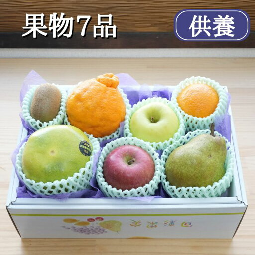 【 ご進物 お供え用 】 果物 7品 入り ( フルーツ 果物セット フルーツセット お盆 法事 お彼岸 命日 初盆 四十九日 お中元 お歳暮 贈答用 お悔み 仏事 楽屋見舞い 詰め合わせ 法要 お供え 箱詰め合わせ ) 【 ご進物 お供え用 】 果物 7品 入り ( フルーツ 果物セット フルーツセット お盆 法事 お彼岸 命日 初盆 四十九日 お中元 お歳暮 贈答用 お悔み 仏事 楽屋見舞い 詰め合わせ 法要 お供え 箱詰め合わせ )