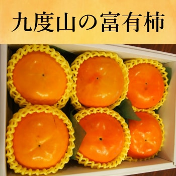 柿の名産地 九度山 富有柿 ( ギフト 誕生日 出産祝い 結婚祝い プレゼント お見舞い 内祝い フルーツ 旬 贈り物 贈答用 柿 和歌山 )