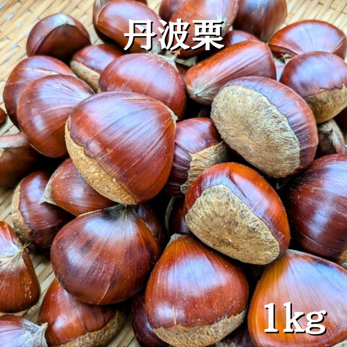 栗の名産地 丹波栗 1kg 現地買付 期間限定 焼き栗 渋皮煮 蒸し栗 栗拾い 栗ごはん 栗きんとん 贈答用 プレゼント 贈り物 敬老の日 ギフト フルーツギフト お取り寄せ 秋の味覚 栗 お供えのサムネイル