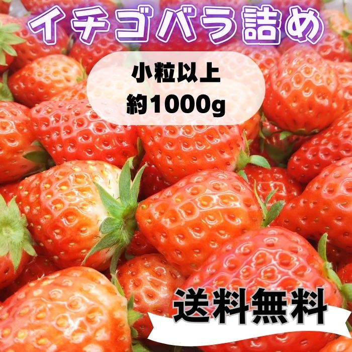 【ワイワイガヤガヤ！小粒以上イチゴパーティ！】【内容量1000g】【1〜8日以内に発送】