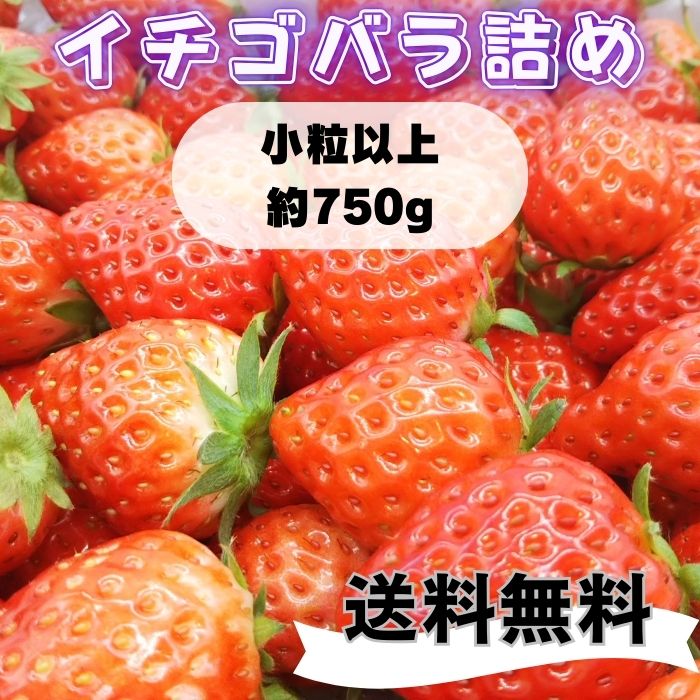 いちご 【ワイワイガヤガヤ！小粒以上イチゴパーティ！】【内容量750g】【1〜8日以内に発送】