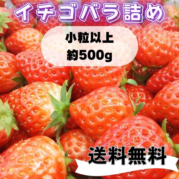 いちご 【ワイワイガヤガヤ！小粒以上イチゴパーティ！】【内容量500g】【1〜8日以内に発送】