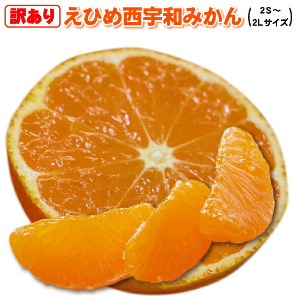 本日クーポンで30%OFF えひめ西宇和 みかん お得な特典付!最安値に挑戦!中箱2.5kg複数注文で送料無料増量サービス付!美味しいみかんと言えば!愛媛西宇和...