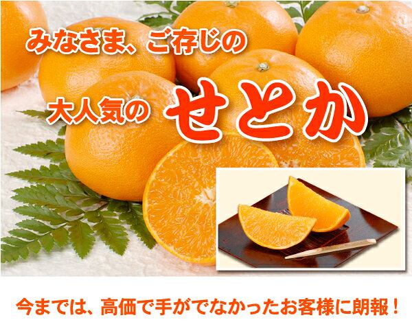 ★本日10％OFFクーポン★TVで話題！極める トロトロ せとか みかん たっぷり5kg★訳あり家庭用で最安値に挑戦！極（2枚目）