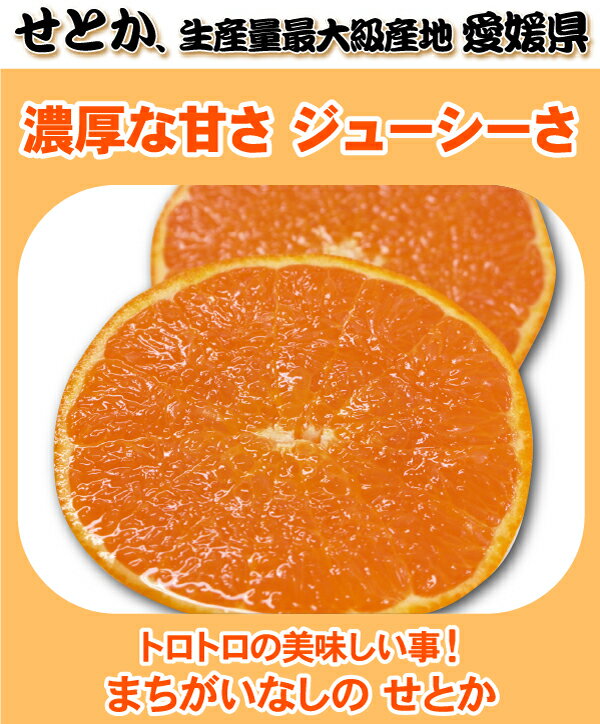 ★本日10％OFFクーポン★TVで話題！極める トロトロ せとか みかん たっぷり5kg★訳あり家庭用で最安値に挑戦！極（3枚目）