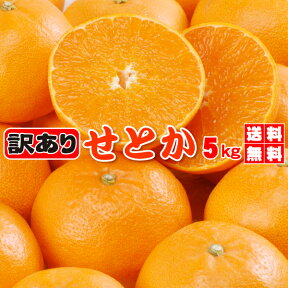 TVで話題！極める　トロトロ　せとか　みかん たっぷり5kg★訳あり家庭用で最安値に挑戦！極める！大人気のトロトロせとか・送料無料