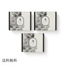 A プロテインほうじ茶 Hojicha 1箱30包入り×3箱セット（1箱でのご購入より20％お得！）プロテイン ほうじ茶 タンパク質 飲みやすい 筋トレ 筋力アップ ソイプロテイン 肌質改善 髪質改善 朝比奈彩 aya プロテイン ほうじ茶味 ソイ 美味しい