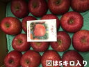 岩手江刺産 江刺りんご サンふじりんご 〇秀 大玉 7玉~12玉 約3キロ 贈答品【サンふじりんご5kg】【りんご】【蜜入りサンふじ】【江刺 りんご】【りんご 江刺】【岩手 りんご】11月下旬~12月中旬頃発送日付指定不可北海道・離島地区別途送料550円
