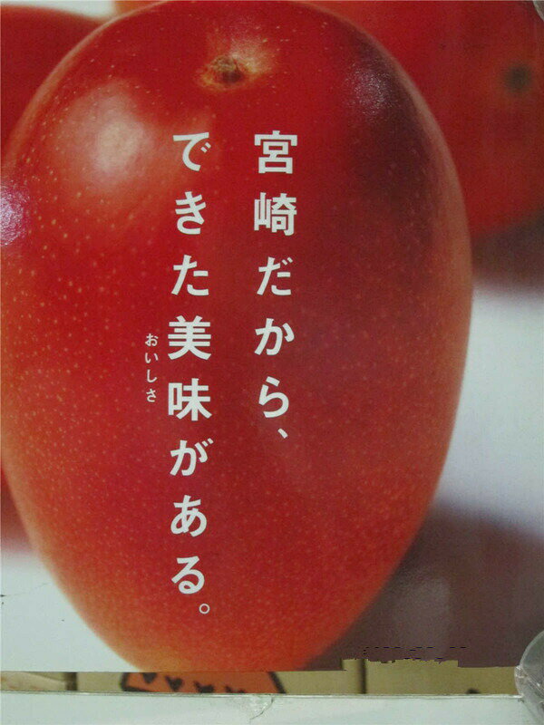 宮崎産 完熟宮崎マンゴー 太陽のタマゴ 青秀 大玉4Lサイズ1玉 化粧箱入り 贈答用完熟マンゴー/マンゴー/まんごー/贈答用/ギフト/プレゼント/内祝い北海道・九州・離島地区別途クール料金660円4月下旬~5月下旬頃発送日付指定不可