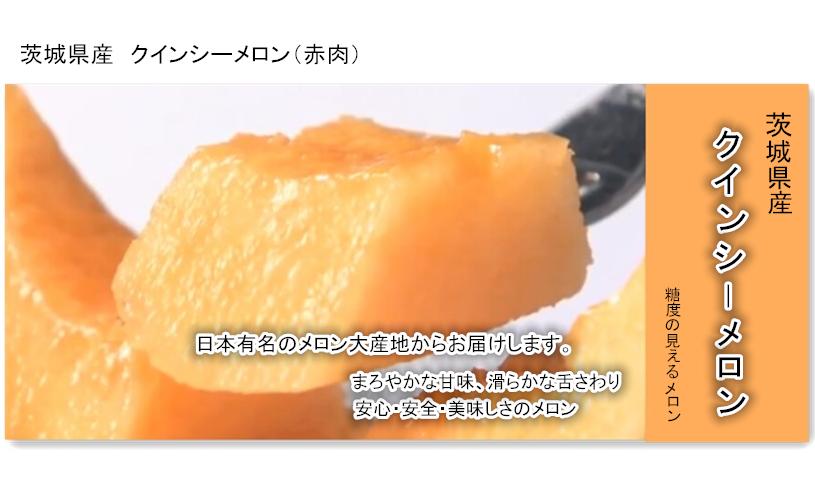 全国お取り寄せグルメ食品ランキング[富良野メロン(31～60位)]第46位