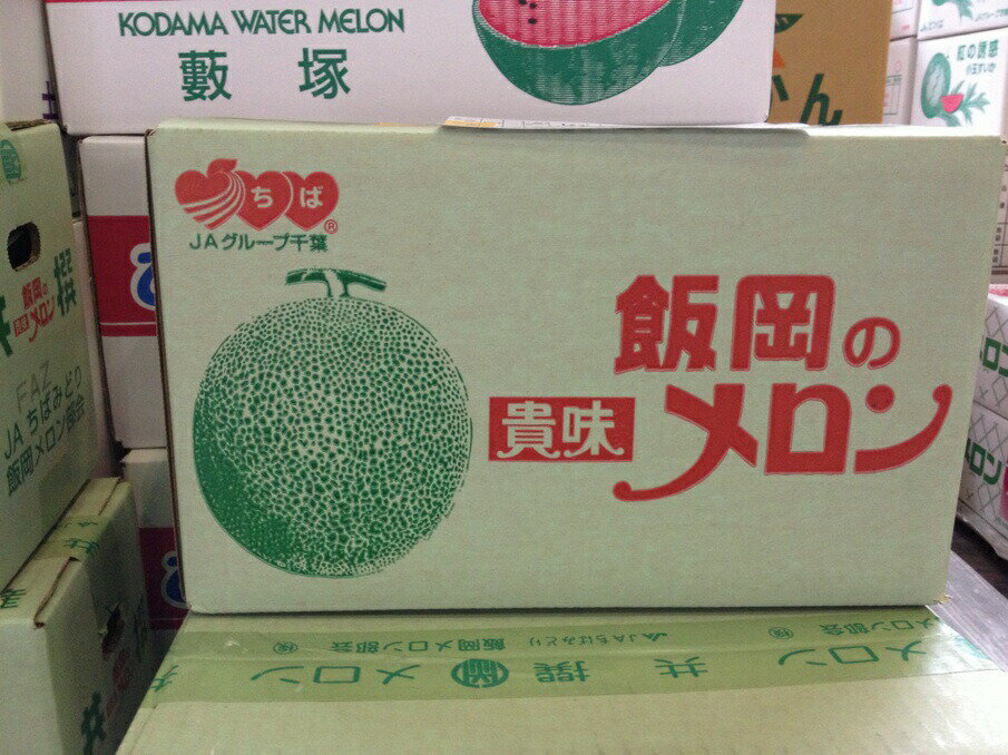 千葉産　JAちばみどり　飯岡の貴味メロン(タカミメロン)　赤肉　秀品　大玉4L～5Lサイズ　2玉入り　贈答用7月上旬～中旬頃発送日付指定不可