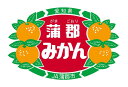 愛知産 蒲郡温室みかん(ハウスみかん) 小玉 2Sサイズ 秀品 約1.2kg 蒲郡ハウスみかん/蒲郡温室みかん/温室みかん/みかん/贈答用/お中元北海道・九州...