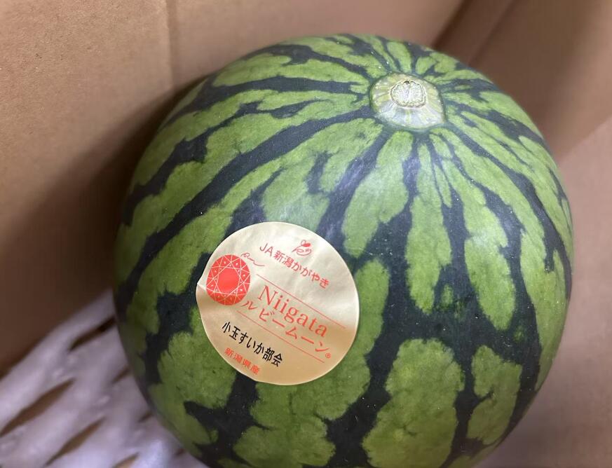 新潟県ブランド西瓜　砂丘すいか　Niigataルビームーン　秀品　4玉入り　贈答用　産地原箱【小玉すいか】【ルビームーン すいか】【小玉西瓜】【砂丘すいか】7月上旬～8月上旬頃発送日付指定不可北海道・中国・四国・九州・離島地区別途クール料金760円のサムネイル