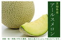 【お徳用】JA茨城旭村　アールスメロン 【秀】 大玉1玉 2キロ以上　化粧箱入り　贈答用【茨城メロン ...