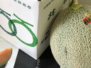 北海道 夕張メロン 共選・秀品 1玉 1.5キロ以上 お中元贈答品【北海道のメロン】【お中元ギフト】7月中旬~下旬頃発送日付指定不可北海道・中国・四国・九州・離島地区別途クール送料660円