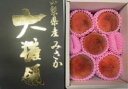 山梨県産 JAふえふき 御坂 大糖領 5玉〜6玉 約1.5kg【贈答用】【お中元】【御中元】【7月中旬〜8月中旬頃発送日付指定不可】北海道・中国・四国・九州・離...