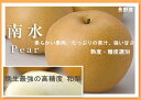 長野産 南水梨 9玉〜14玉 約5キロ 家庭用梨【晩生最強の...