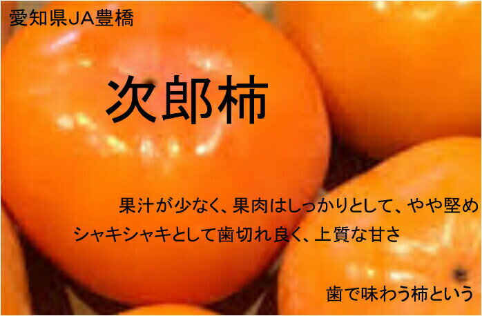 愛知県産JA豊橋　次郎柿　秀品　2Lサイズ　18玉　贈答用10月末〜11月下旬頃発送日付指定不可【※無地段ボール・簡易箱で発送※】