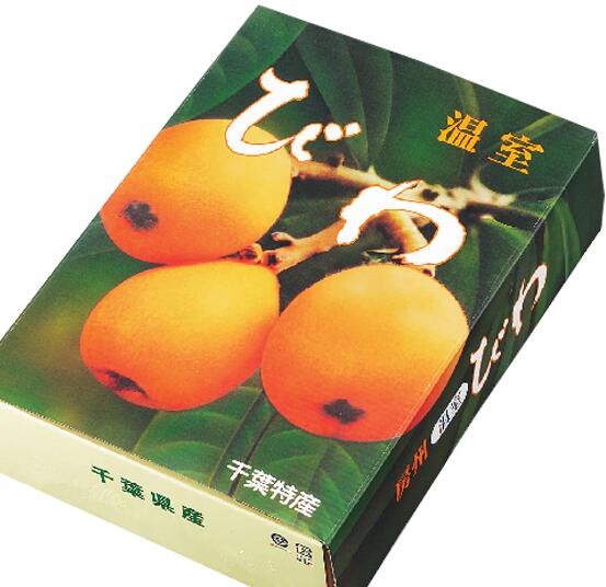 千葉産 皇室献上びわ 房州びわ 秀品 L/2L/3Lサイズ 9玉〜15玉 約700g ハウス栽培 贈答用北海道・九州・離島地区別途クール送料660円4月下旬〜5月中旬頃発送日付指定不可箱のデザインは変更にな…