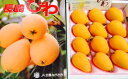 長崎県産 茂木びわ 秀品 L/2L/3Lサイズ 8〜12玉 約500g ハウス栽培 化粧箱入 北海道・四国・九州・離島地区別途送料760円4月中旬〜下旬頃発送日...