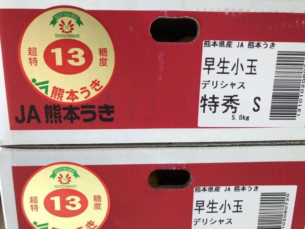 熊本県うきの最上級みかん　デリシャス13みかん　特秀　Sサイズ　約5キロ　お歳暮贈答用【熊本みかん】 ...