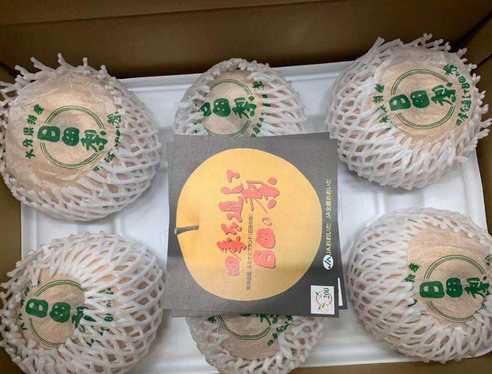 大分県　日田の梨　新興梨　5玉～6玉　秀品　贈答用　【新興梨】【日田の梨】【和梨】のサムネイル