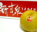 鳥取産 新甘泉(しんかんせん)梨 赤秀 大玉9玉~16玉前後 約5kg 贈答用8月下旬~9月中旬頃発送日付指定不可北海道・中国・四国・九州・離島地区別途クール送料760円