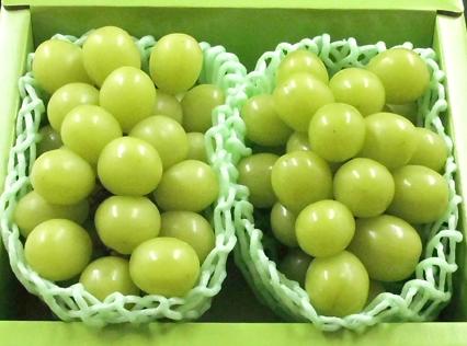 山梨県産　JAふえふき　シャインマスカット「匠の葡萄」　2房　化粧箱 北海道・九州地区・沖縄及び一部離島への発送は承っておりません。7月中旬～8月中旬頃発送日付指定不可のサムネイル