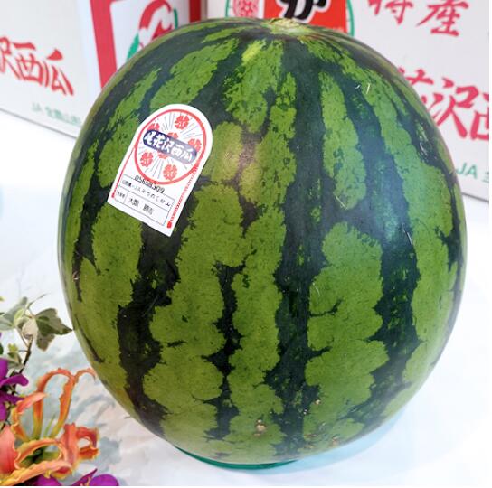 山形県大玉西瓜 尾花沢すいか A等級 5Lサイズ1玉 約9kg/1玉 贈答用 【夏ギフト】【大玉西瓜】【山形スイカ】【西瓜】【お中元】【北海道・四国・中国・九州・離島地区別途クール送料1000円】7…