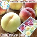 7月下旬より商品発送 お中元 暑中お見舞い 残暑お見舞い 夏の贈り物 夏ギフト お世話になった方へ贈り物 山梨県の高糖度の桃4玉と和歌山県あら川の清水白桃4玉の...