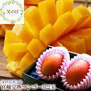 父の日 宮嵜完熟マンゴー 父の日 プレゼント 父の日 ギフト 父の日 食べ物プレゼント 父の日 フルーツ 父の日 グルメ 父の日 プレゼント 義父 父の日202...