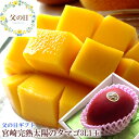 父の日 太陽のタマゴ 完熟マンゴー 父の日 プレゼント 太陽のタマゴ 父の日 ギフト 父の日 食べ物プレゼント 父の日 フルーツ 父の日 グルメ 父の日 プレゼ...