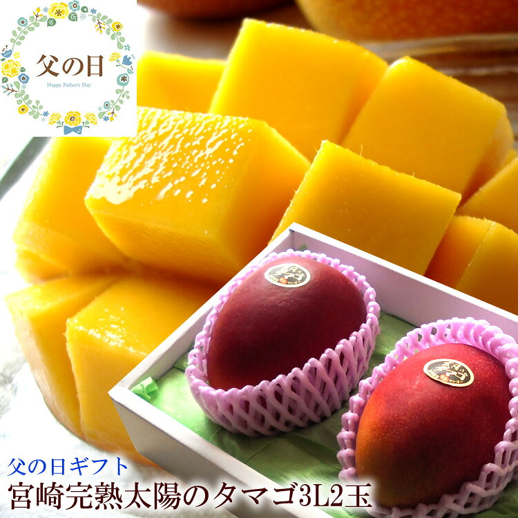 父の日 太陽のタマゴ 完熟マンゴー 父の日 プレゼント 太陽のタマゴ 父の日 ギフト 父の日 食べ物 ...
