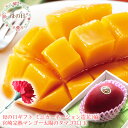 母の日 プレゼント 母の日 ギフト 母の日 食べ物プレゼント 母の日 フルーツ 母の日 グルメ 母の日 プレゼント 義母 母の日2024 60代 母の日 母の日...
