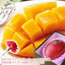 母の日 プレゼント 母の日 ギフト 母の日 食べ物プレゼント 母の日 フルーツ 母の日 グルメ 母の日 プレゼント 義母 母の日2024 60代 母の日 母の日...