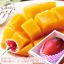 母の日 プレゼント 母の日 ギフト 母の日 食べ物プレゼント 母の日 フルーツ 母の日 グルメ 母の日 プレゼント 義母 母の日2025 60代 母の日 母の日...