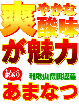 甘夏 訳あり あまなつ 訳あり 甘夏 みかん 産地厳選 [訳あり甘夏4kg] 送料無料